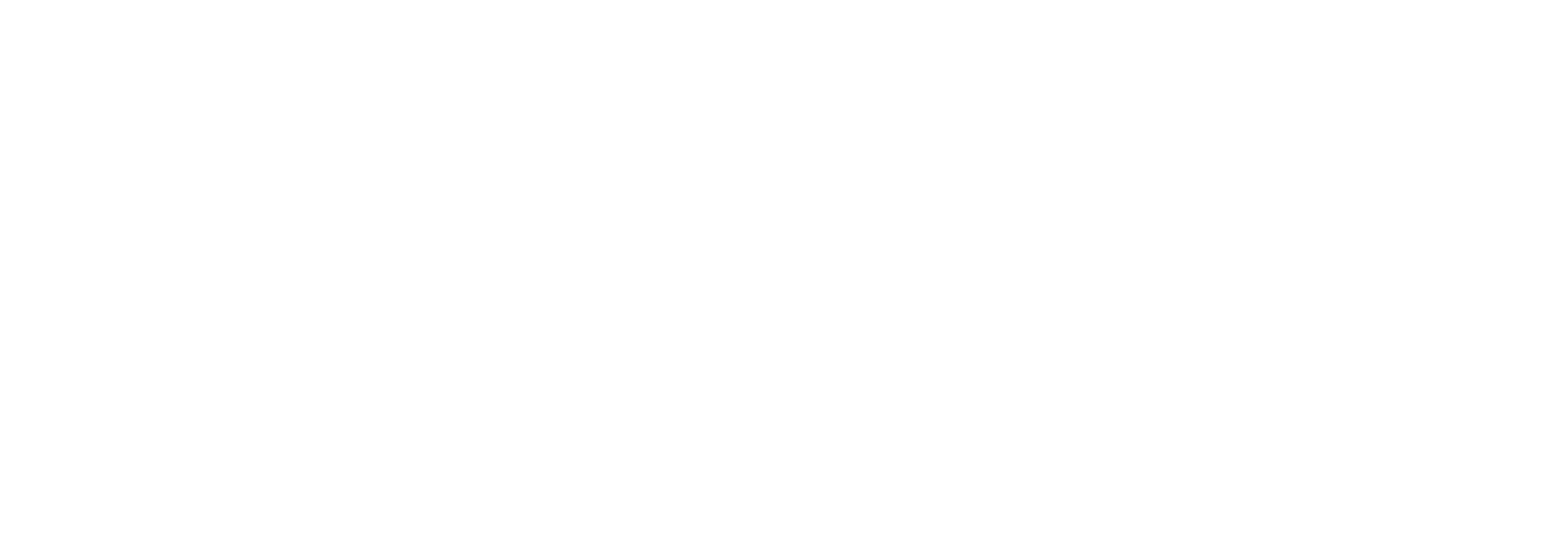 Logo_Eleva